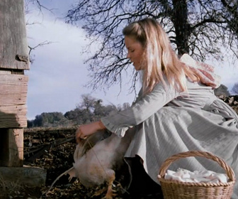 La petite maison dans la prairie