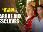 Capitaine Marleau